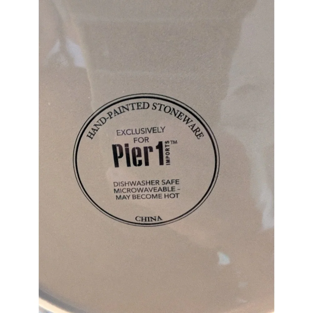 Pier 1 Gray Beaded‎ Salad Plate 8 3/4
